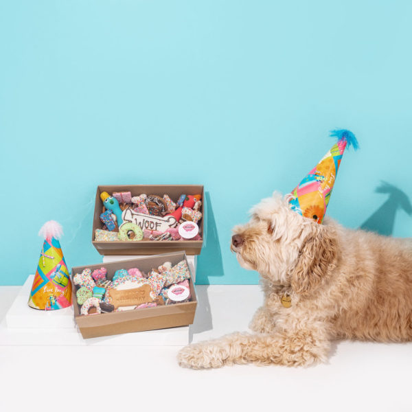 Dog Birthday Box (Dog Food!!!)