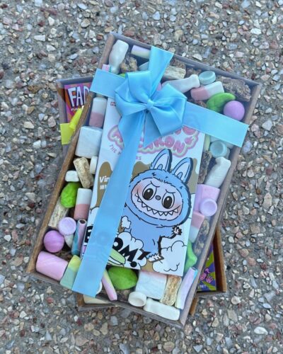 Macaron Mayhem Labubu Box (Limited Edition)