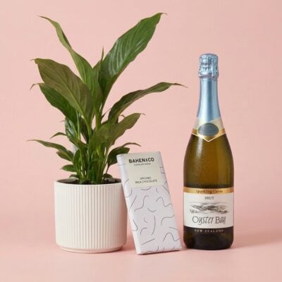 Peace Lily Plant Gift with Sparkling Wine & Chocolate